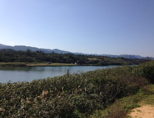 《回歸原點，是為了與對的人相逢》